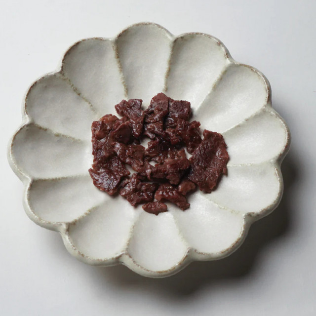 犬と猫のおやつ 長野信州 熟成黒毛和牛 30g