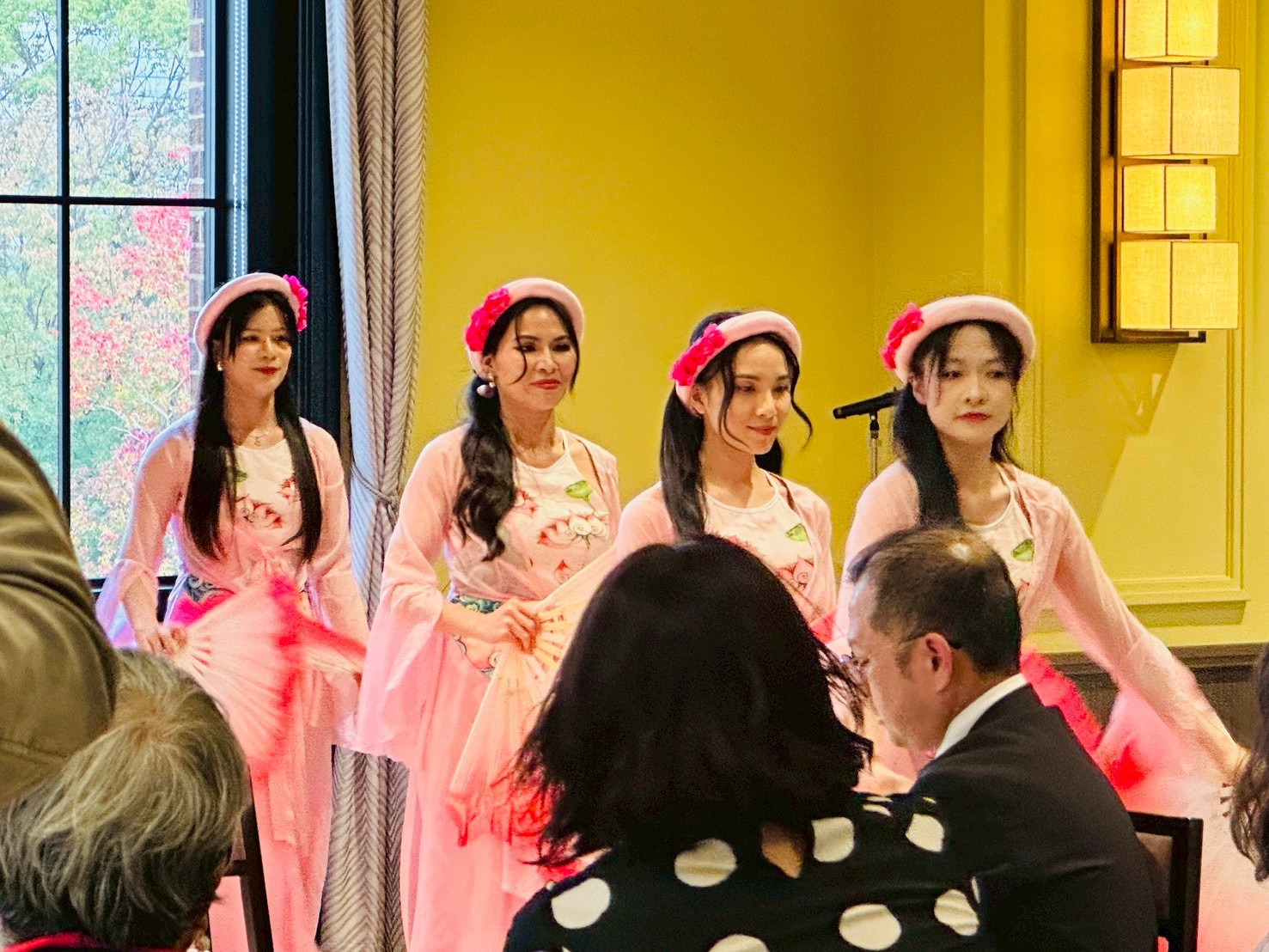 坂東あけみさんの公演・ベトナム歌謡と舞踊の画像２